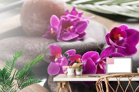 Samolepiaca fototapeta  nádherná orchidea a Zen kamene - 450x300