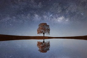 Nádherná fototapeta strom pod oblohou plnou hviezd