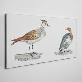 Obraz na plátne zvieratá vtáky