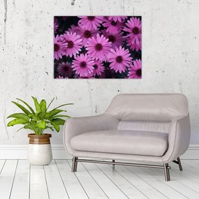Sklenený obraz ružových kvetov (70x50 cm)