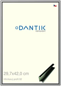 DANTIK rám na obraz 29,7x42 | ALU Šedá leská (Plexi Čiré)