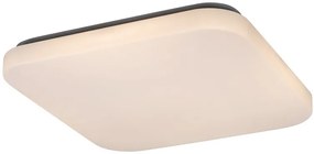 Rabalux LED stropné svietidlo Rob 1x32W | 2100lm | 3000K - biela