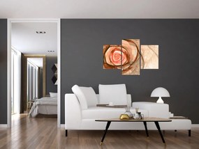 Obraz - Abstraktné ruže ružová s bielym pozadím (90x60 cm)