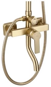 REA-P7841 - Sprchová súprava s batériou ARGUS, brúsené zlato