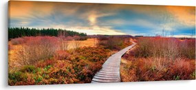 Obraz - Jesenná cesta krajinou (120x50 cm)