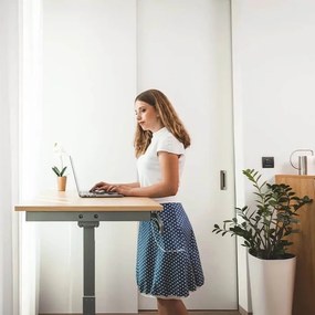 Liftor Entry, sivá výškovo nastaviteľný polohovateľný stôl