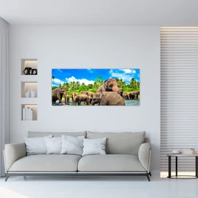 Obraz - Slony, Sri Lanka (120x50 cm)