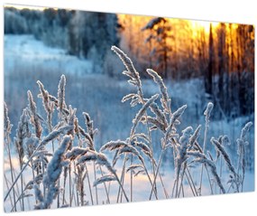 Obraz - Zimná lúka (90x60 cm)
