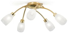 Orion - Prisadený luster CARLA 5xG9/28W/230V zlatý