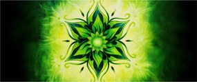 Obraz - Kvetinová mandala v zelenom pozadí (120x50 cm)