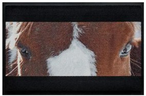 Premium rohožka- zvieratá - strakatý kôň (Vyberte veľkosť: 75*50 cm)