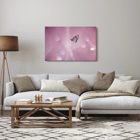 Obraz - Motýlik (90x60 cm)
