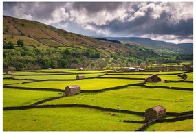 Fototapeta Vliesová Yorkshire poľa 312x219 cm