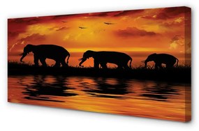 Obraz canvas slony West Lake 140x70 cm