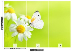 Fototapeta Vliesová Motýľ a harmanček 208x146 cm