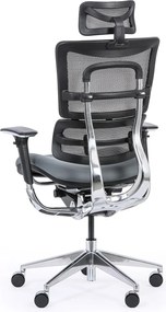 Multifunkčná kancelárska stolička WINSTON SAB, sivá