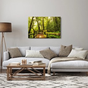 Obraz machové džungle (90x60 cm)