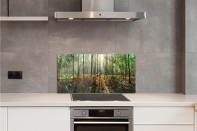 Nástenný panel  les breza 100x50 cm
