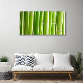 Obraz na plátne Bambus stonka kvet rastlina 120x60 cm