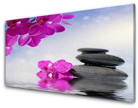 Obraz na skle Kvety kamene rastlina 100x50 cm
