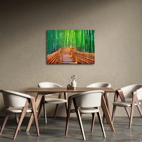 Obraz - Japonský bambusový les (70x50 cm)