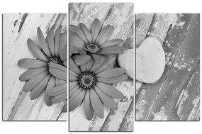 Obraz na plátne - Kvety a kamenné srdce  183QC (90x60 cm)