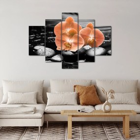 Obraz - Oranžové orchidey (150x105 cm)