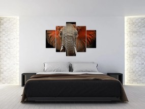 Obraz - Slony z Tsavo (150x105 cm)