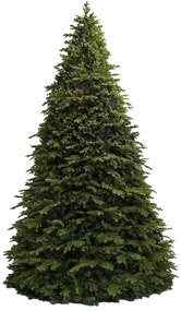 Gigantický vianočný stromček 3D Smrek Exkluzív 1000cm