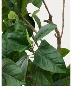 Umelý fikus (výška 210 cm) Ficus – Kave Home