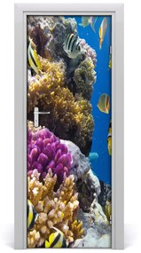 Samolepiace fototapety na dvere koralový útes 85x205 cm