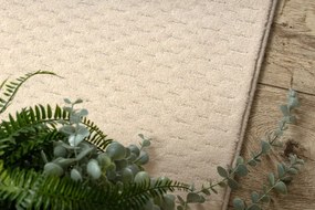 Koberec TEXTURA 488.07.LA100 krémový