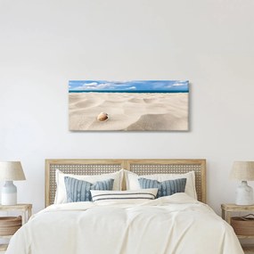 Obraz - Mušle na pláži (120x50 cm)
