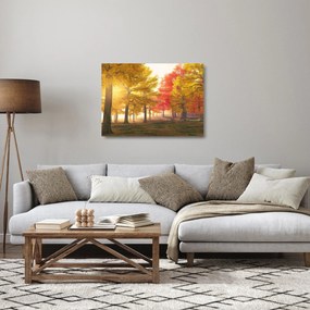 Sklenený obraz jesenných stromov (70x50 cm)