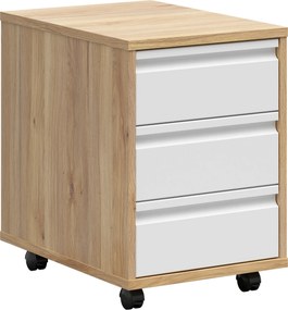 XXXLutz KONTAJNER NA KOLIESKACH, 43/66,5/56 cm Carryhome - Kancelárske série - 002427031602