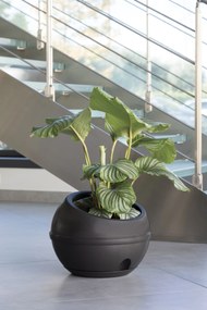 BAMA Kvetináč SFERA 23 l Barva: Antracite