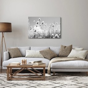 Obraz - Boho bunny tail grass (90x60 cm)