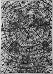 DC Koberec PP 017 sivá Rozmer: 160×220 cm