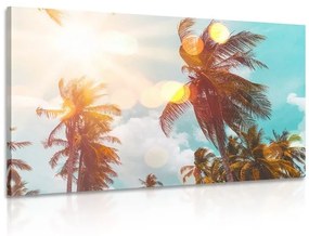Obraz lúče slnka medzi palmami - 90x60