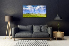 Skleneny obraz Lúka tráva nebo krajina 125x50 cm