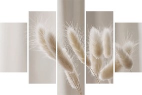 Obraz - Zajačie chvostíky (150x105 cm)