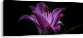 Obraz ľalia (120x50 cm)
