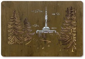 Obrazy na stenu Vysielač na vrchu