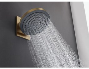 Hansgrohe Pulsify S, hlavová sprcha 260 1jet EcoSmart, kartáčovaný bronz, HAN-24141140