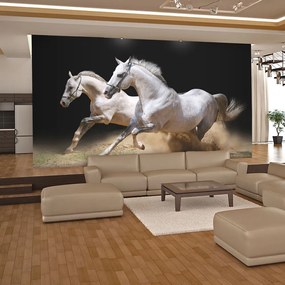 Artgeist Fototapeta - Galloping horses on the sand Veľkosť: 250x193, Verzia: Premium