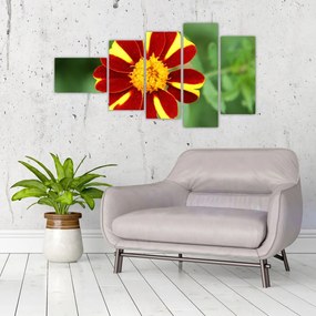 Obraz kvety na stenu