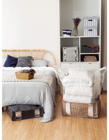 Kartónové úložné boxy v súprave 2 ks s vekom Stripes – Compactor