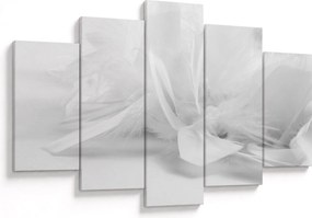 Obraz - Perie (150x105 cm)