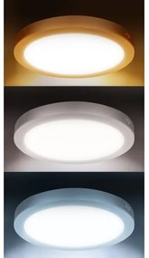 Solight WD244-S - LED panel 2v1 24W/230V 3000/4000/6000K pr. 30 cm IP54 stropný