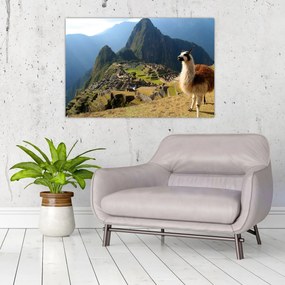 Obrázok - Lama a Machu Picchu (90x60 cm)